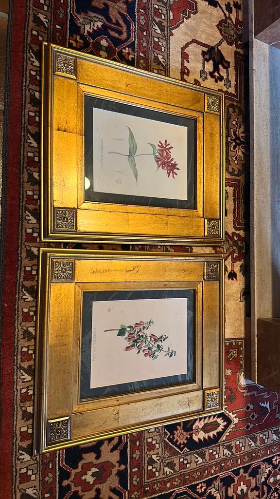 Botanische kunst, Antiek en Kunst, Ophalen