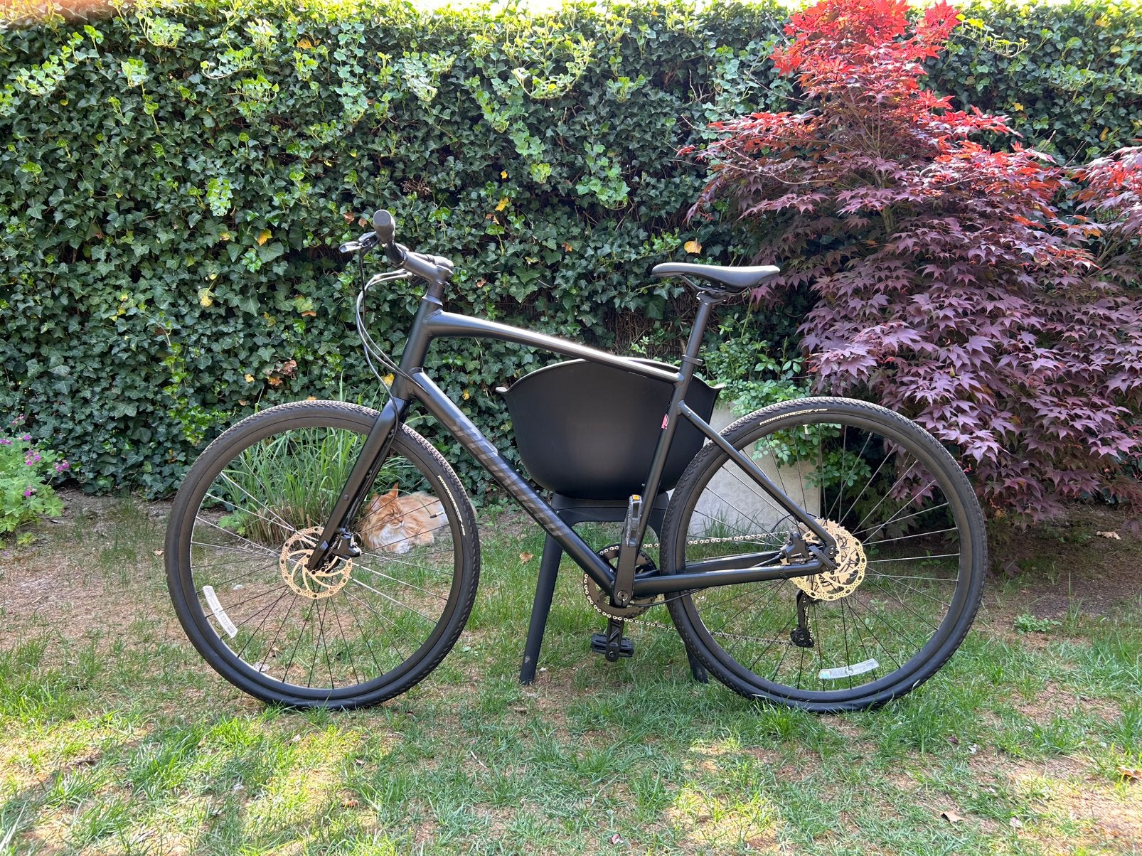 Specialized Sirrus X 3.0 XL – État proche du neuf, Vélos & Vélomoteurs, Enlèvement, Comme neuf