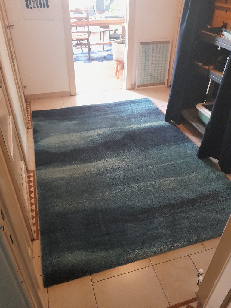 Tapis IKEA SÖNDERÖD 170x240, 200 cm ou plus, 150 à 200 cm, Enlèvement, Utilisé