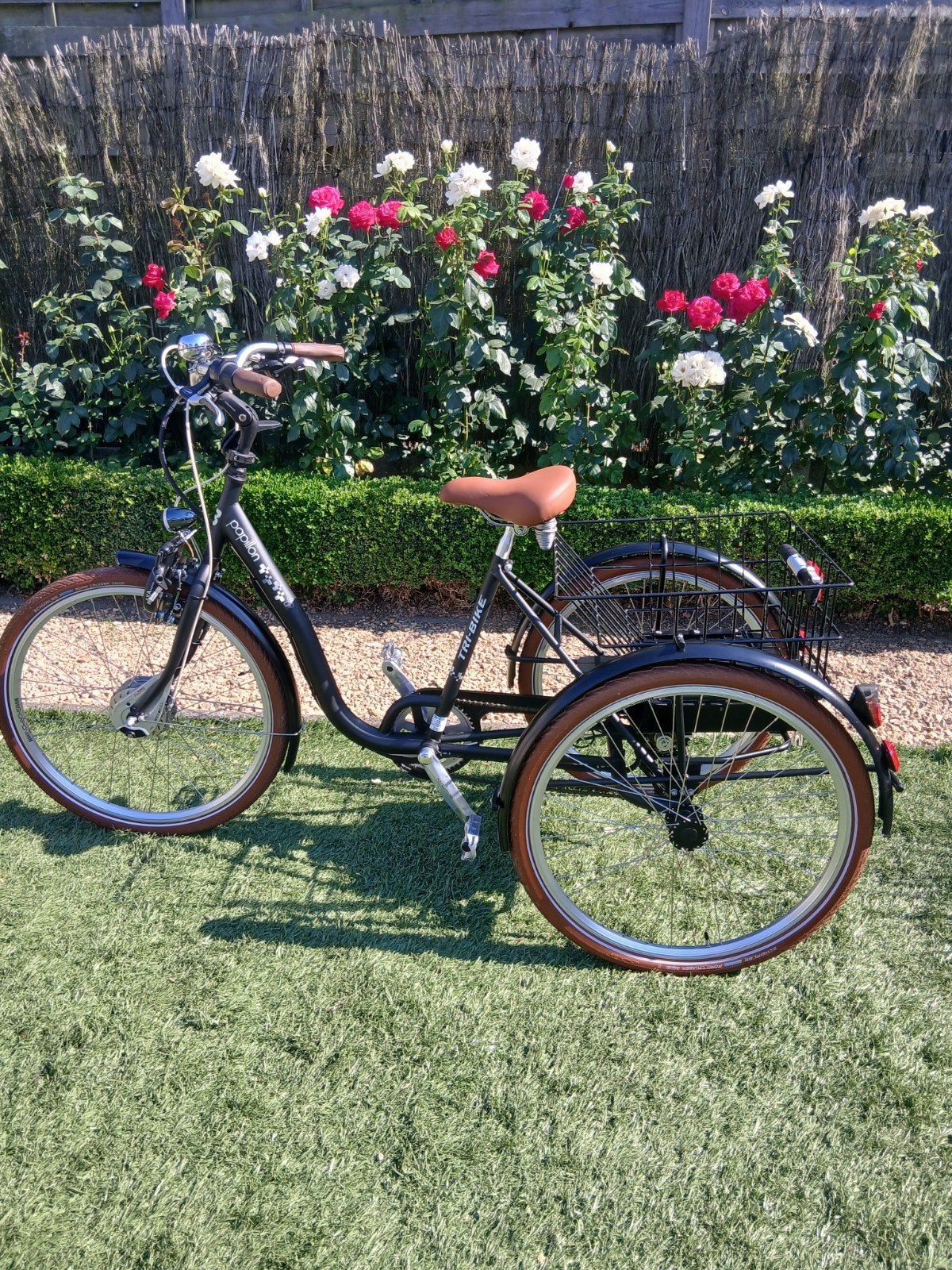 elektrische driewieler volwassenen tri-bike, Ophalen