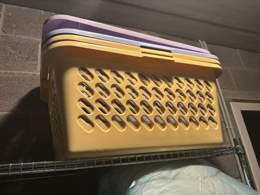 Grosses Mannes à linge x4, Enlèvement