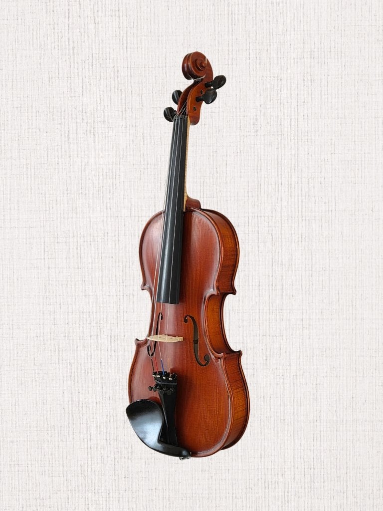 1/2 Viool - nagekeken en speelklaar, Neuf, Violon, Violon 1/2, Enlèvement