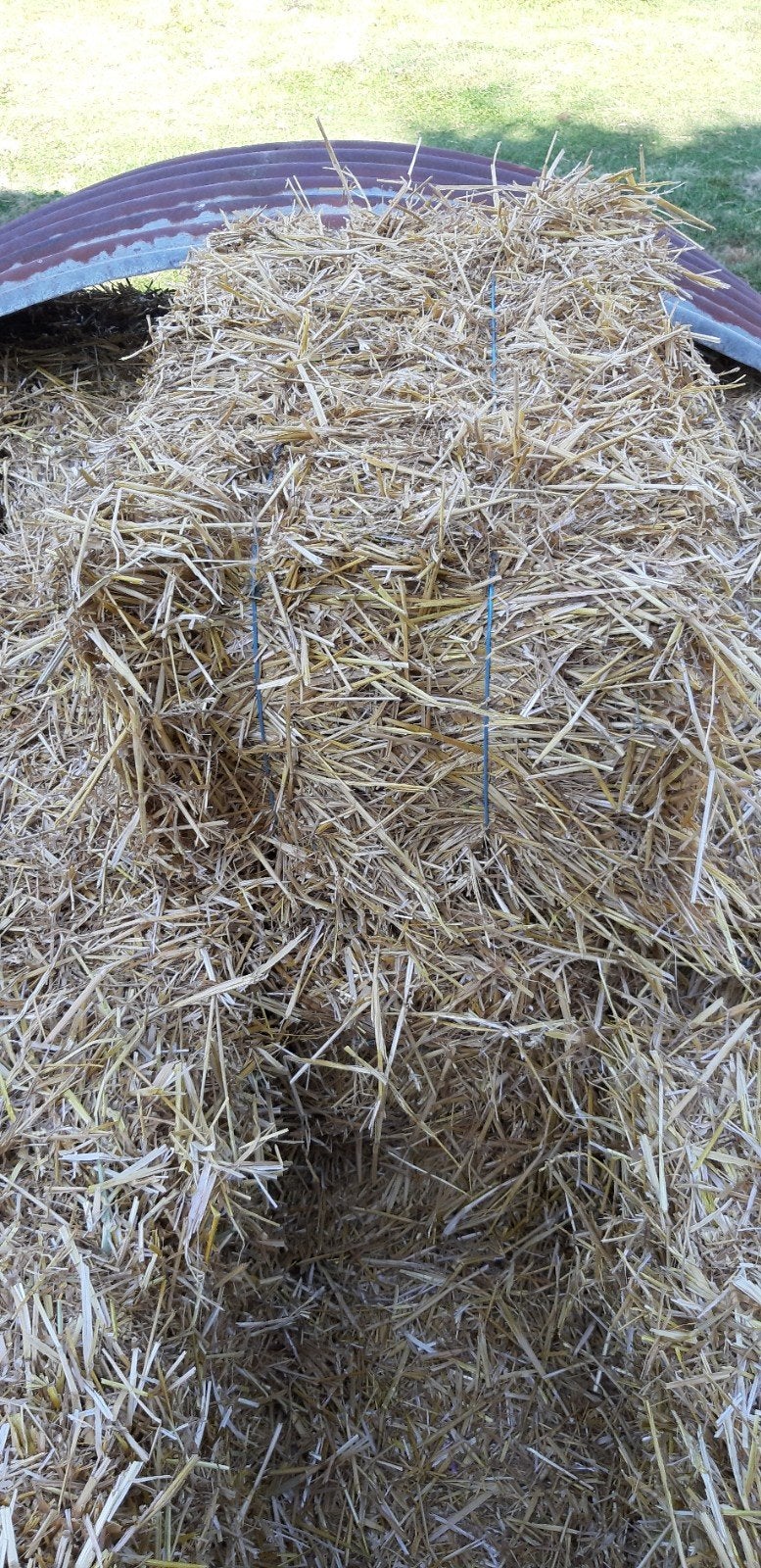 Kleine botten Tarwe stro., Enlèvement