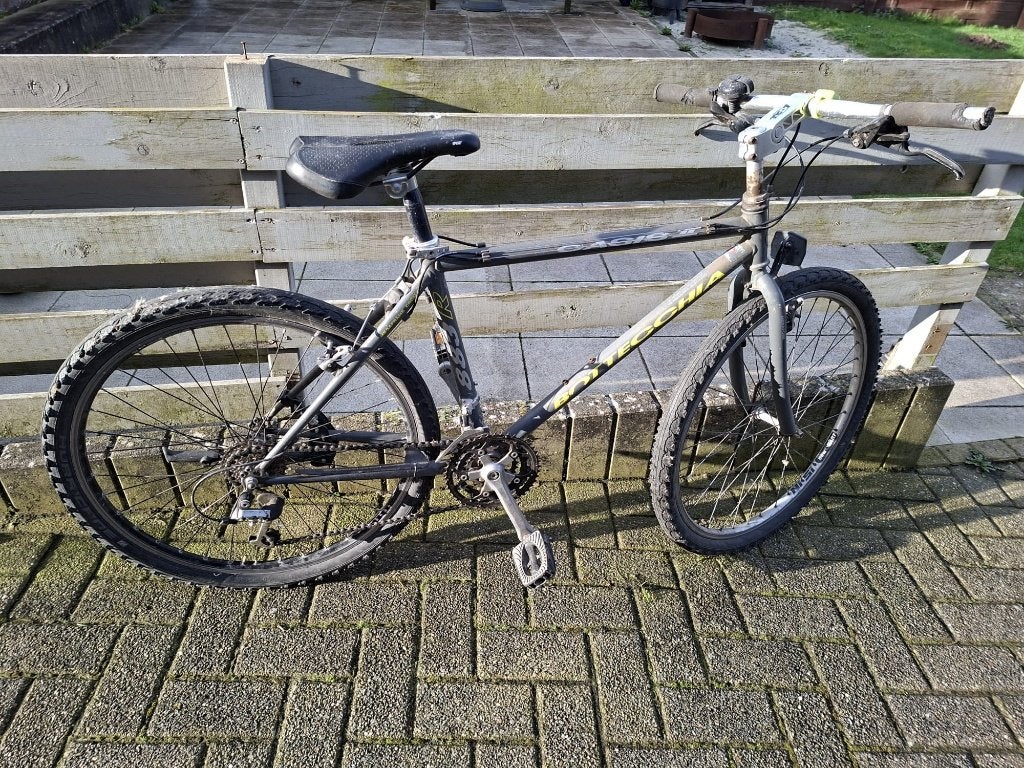 Fiets merk Bottecchia, Vélos & Vélomoteurs, Vélos | Hommes | Vélos de sport & Vélo de randonnée, Frein sur jante, 49 à 53 cm, Enlèvement