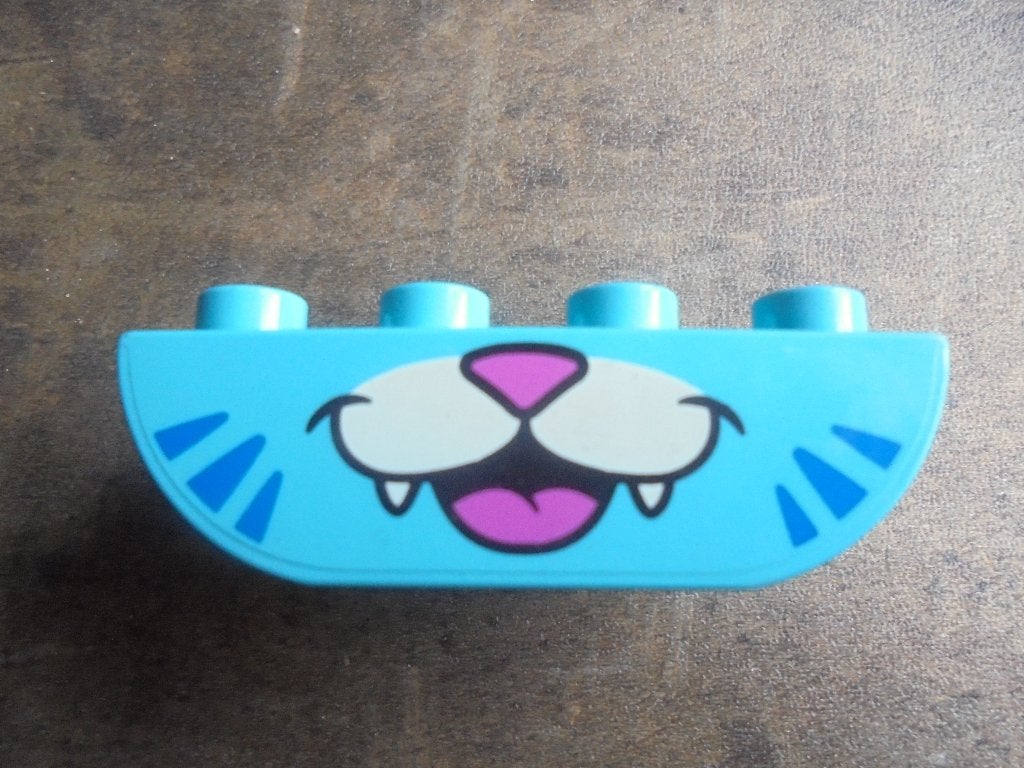 Lego Duplo Brick 2x4 Slope Curved Inverted (zie foto's) 3, Enlèvement ou Envoi, Utilisé, Briques en vrac, Duplo