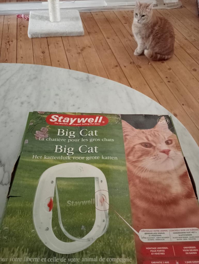 Chatière pour gros chats, Enlèvement, Neuf