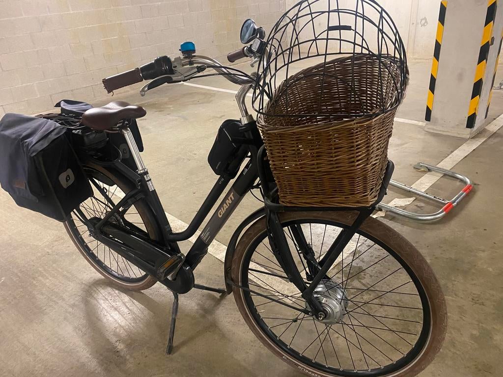 Vinted elektrische fiets, Fietsen en Brommers, Ophalen, Gebruikt, Giant, 51 tot 55 cm