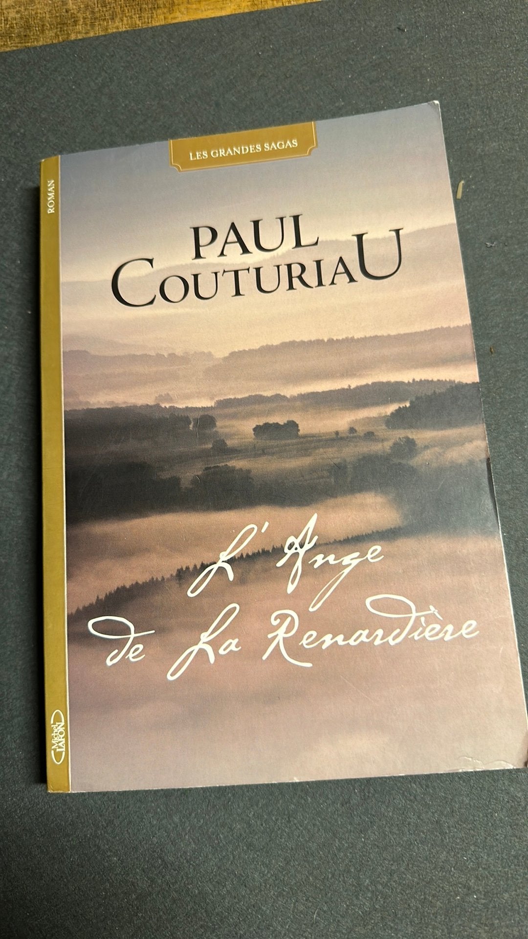 L’ange de la renardière de Paul Couturiau, Livres, Romans, Enlèvement ou Envoi, Comme neuf