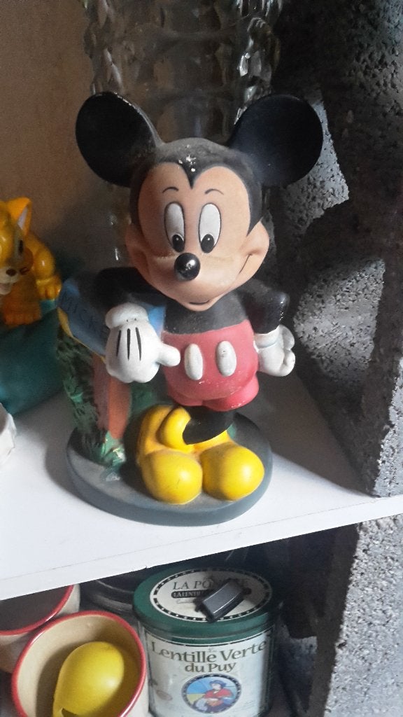 tirelire mickey, Collections, Enlèvement