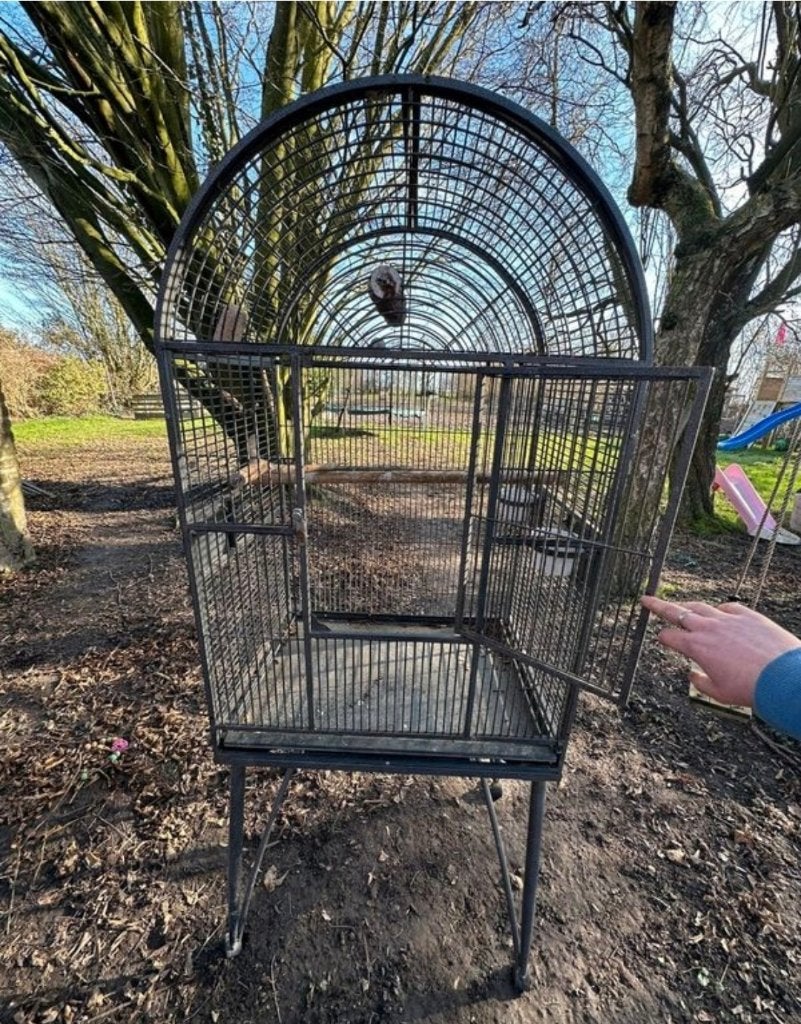 Cage à perroquet, Animaux & Accessoires, Enlèvement, Comme neuf