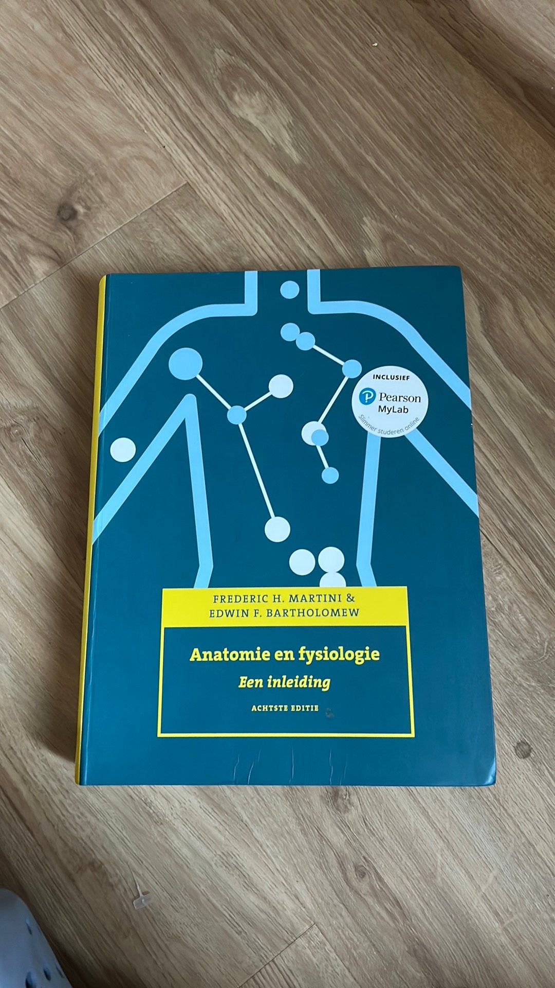Anatomie en fysiologie, 8e editie met MyLab NL, Boeken, Ophalen of Verzenden, Nederlands, Frederic H. Martini; Edwin F. Bartholomew