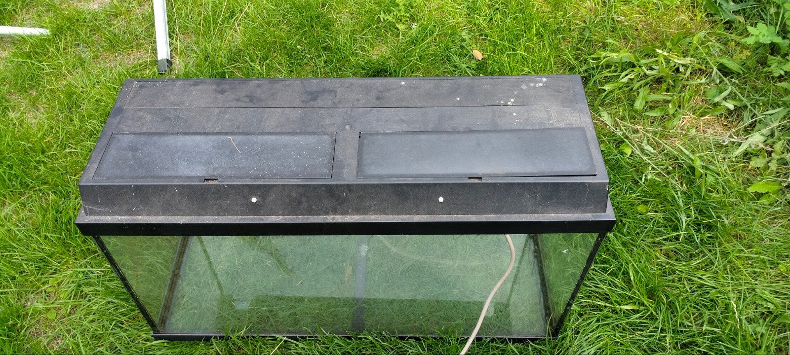 terrarium, Ophalen