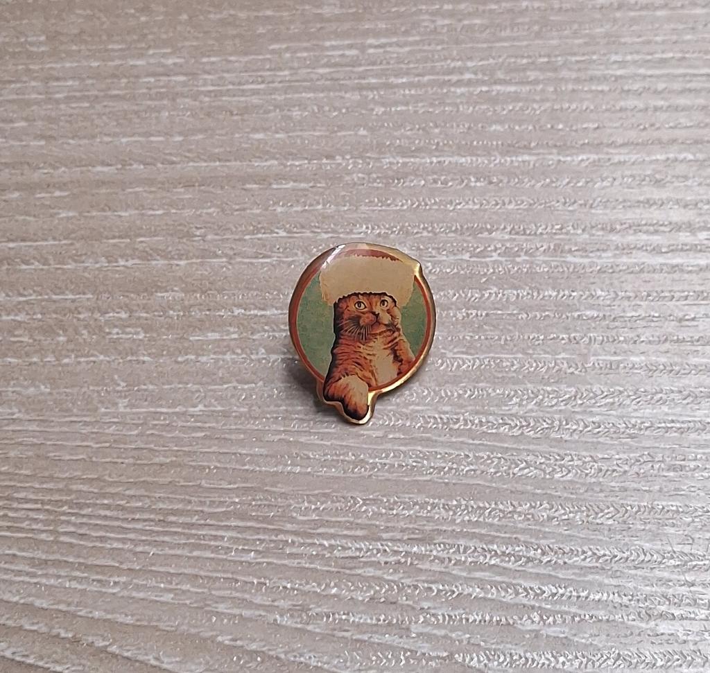 PIN - KAT - POES - CHAT - CAT, Enlèvement ou Envoi, Utilisé, Animal et Nature, Insigne ou Pin's