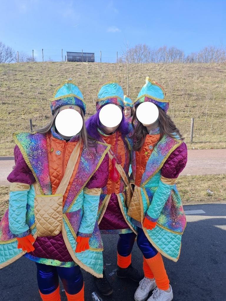 Costumes de carnaval colorés, Enlèvement