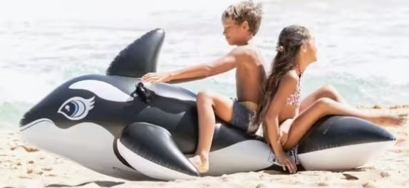 2 boeien voor orka's en dolfijnen, Ophalen, Zo goed als nieuw, Overige typen