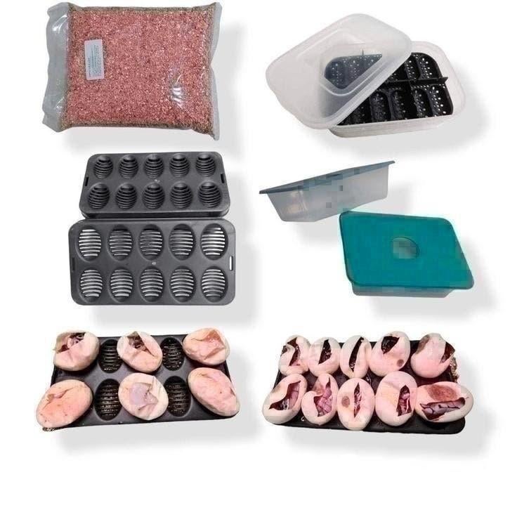 3. Kweek benodigdheden reptielen, egg-trays, Veenmos, enz, Ophalen of Verzenden, Nieuw