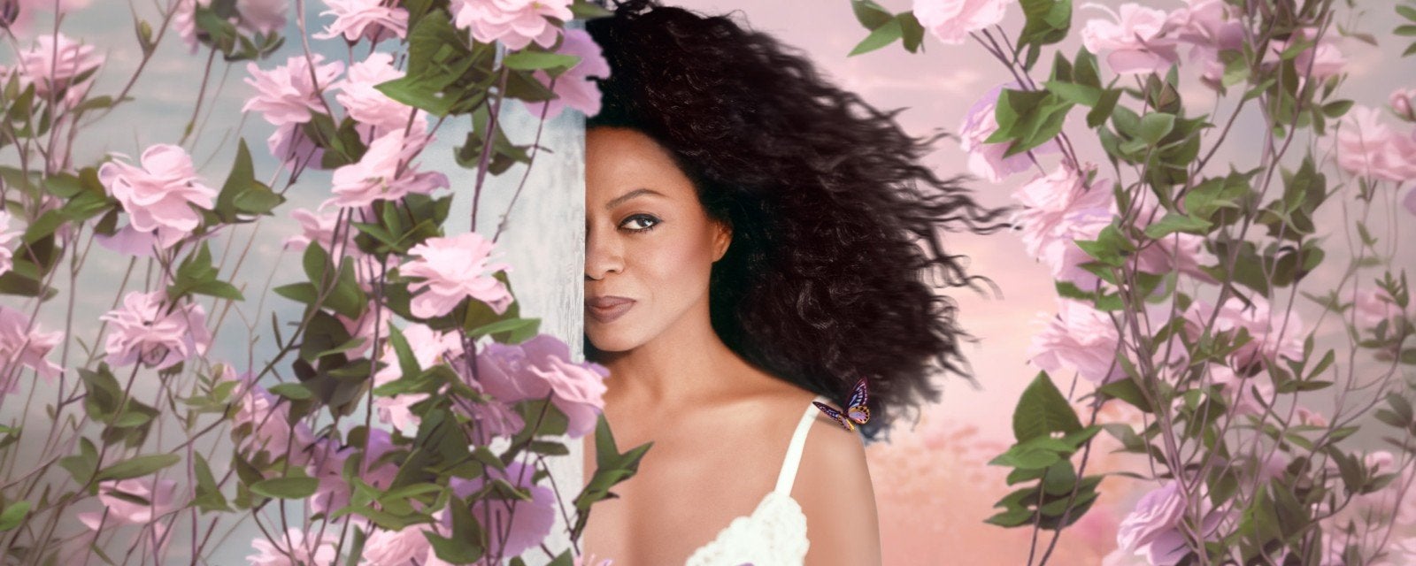 2 tickets front stage Lokerse Feesten Diana Ross op 31/07/26, Tickets en Kaartjes, Overige Tickets en Kaartjes