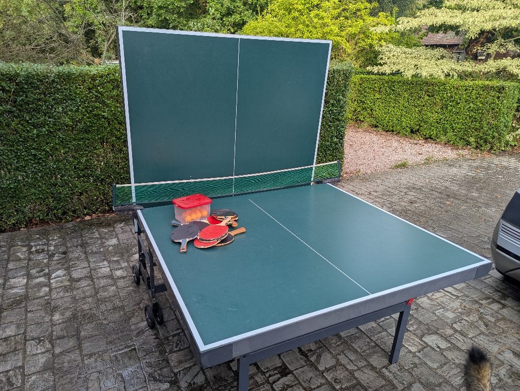 Pingpongtafel Sven, Ophalen, Gebruikt, Tafel Indoor