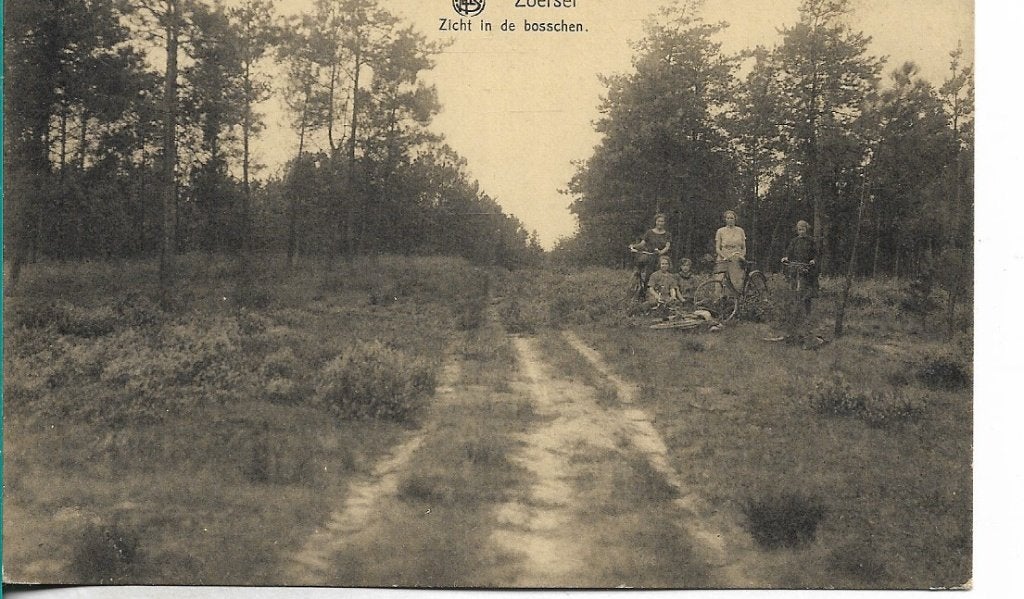 Zoersel zicht in de bosschen, Verzamelen, Ophalen of Verzenden, Voor 1920, Ongelopen, Antwerpen