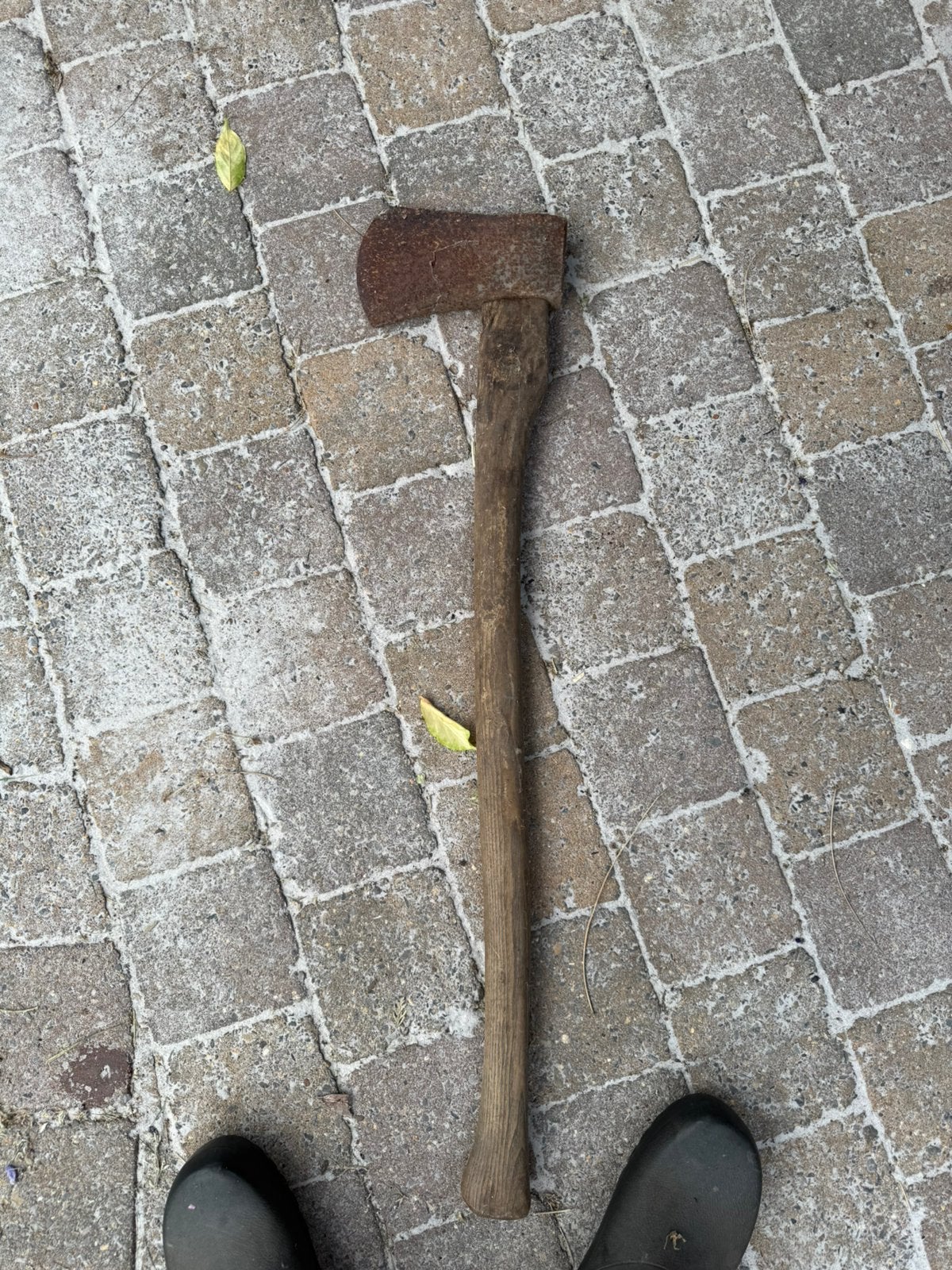 Bijl, Tuin en Terras, Hand-tuingereedschap, Ophalen of Verzenden, Gebruikt, Bijl