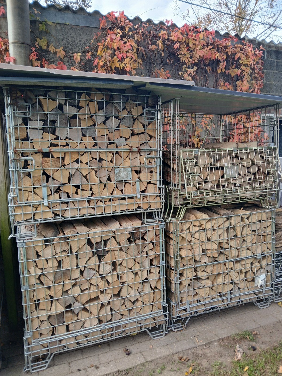 brandhout beuk, Tuin en Terras, Ophalen, Beukenhout