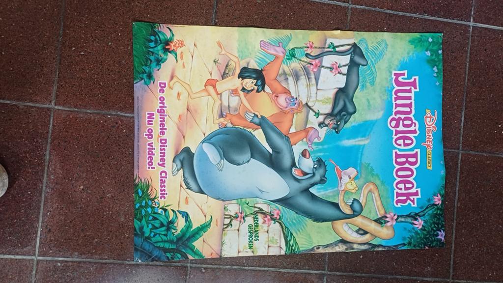 Poster Jungle Book - Jungle boek - Mowgli, Ophalen of Verzenden, Canvas of Doek, Film en Tv, Rechthoekig Staand
