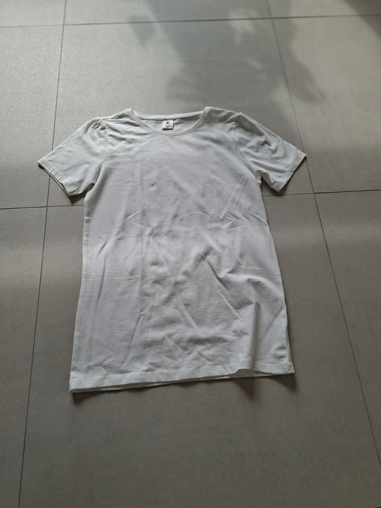 Set 3 Witte t-shirts. Maat 152, 158. Of per stuk €3., Kleding | Dames, Ophalen, Wit, Zo goed als nieuw, Korte mouw