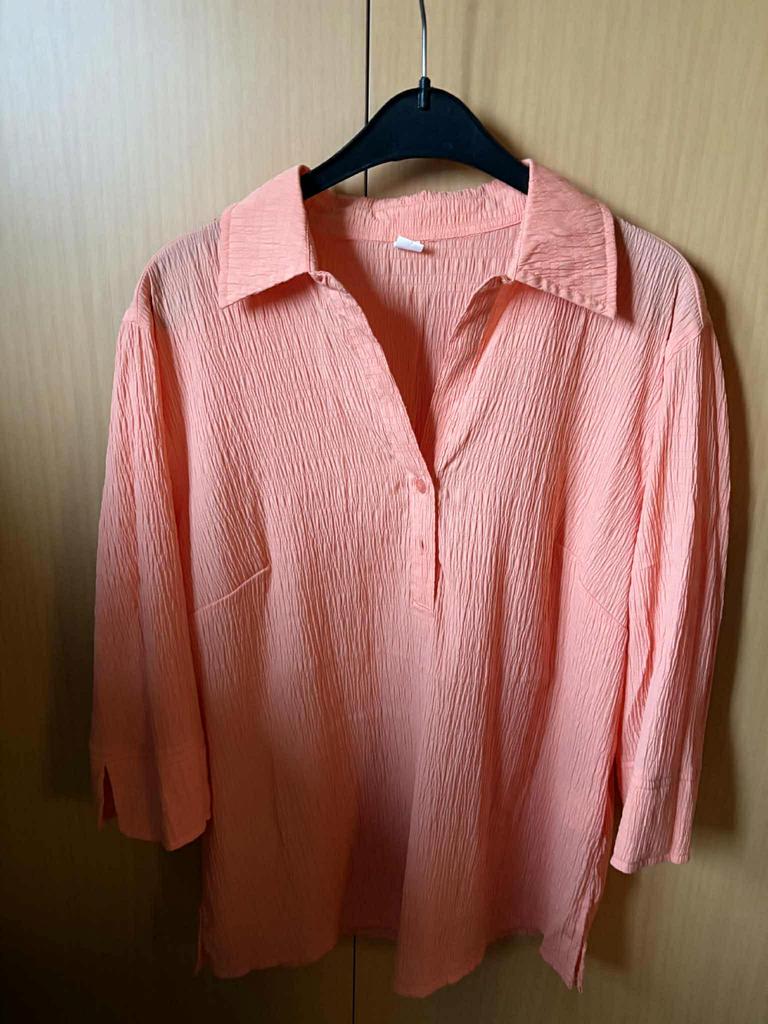 3 nieuwe blousen, Enlèvement, Neuf, Taille 42/44 (L), Beige