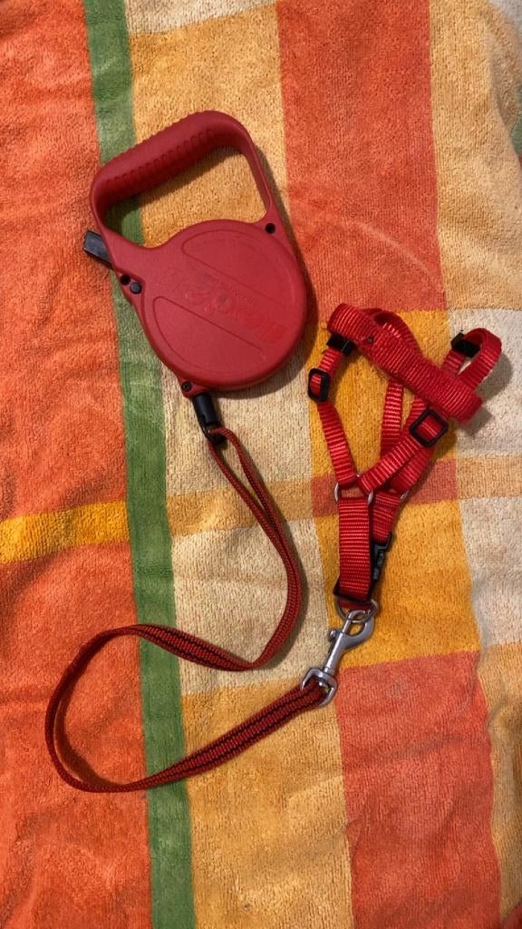 Hondenleiband 5 meter, Dieren en Toebehoren, Ophalen of Verzenden, Gebruikt, Hondenriem