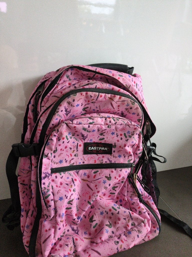 rugtas, Handtassen en Accessoires, Tassen | Schooltassen, Ophalen, Gebruikt, Rugtas