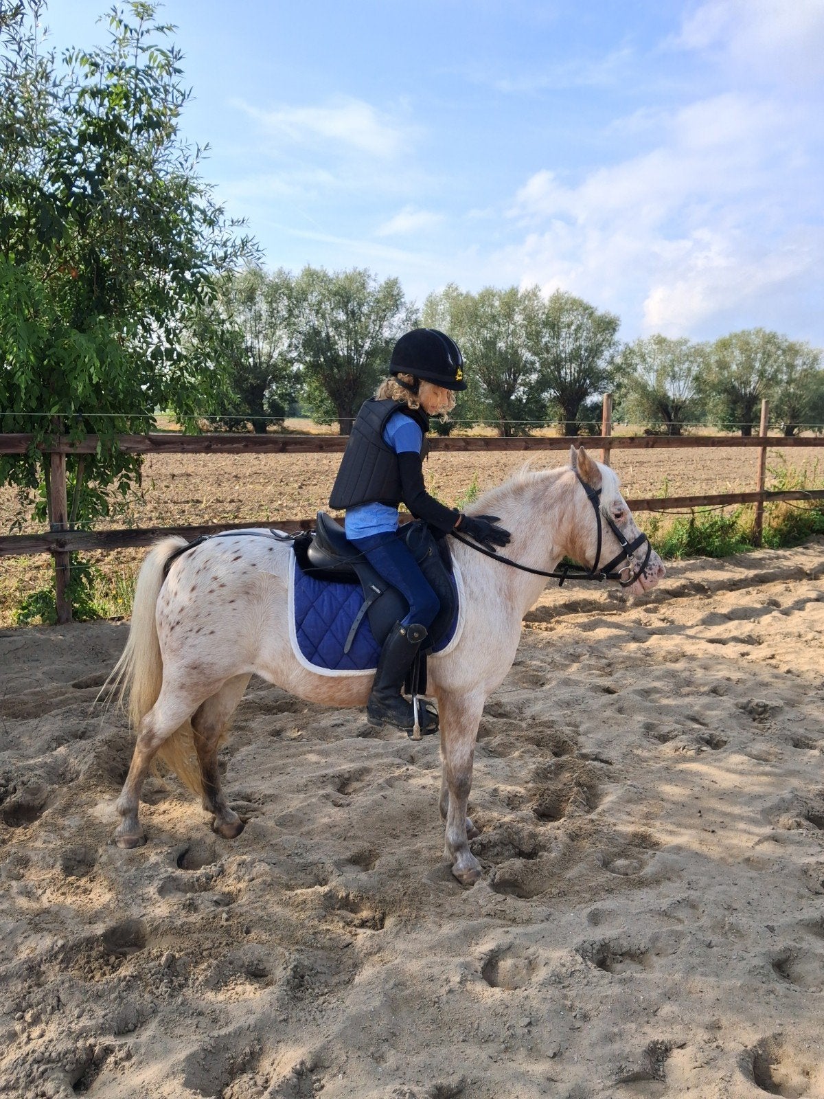 pittige A pony merrie ter adoptie of te lease, Dieren en Toebehoren, Merrie, B, A pony (tot 1.17m), Gechipt