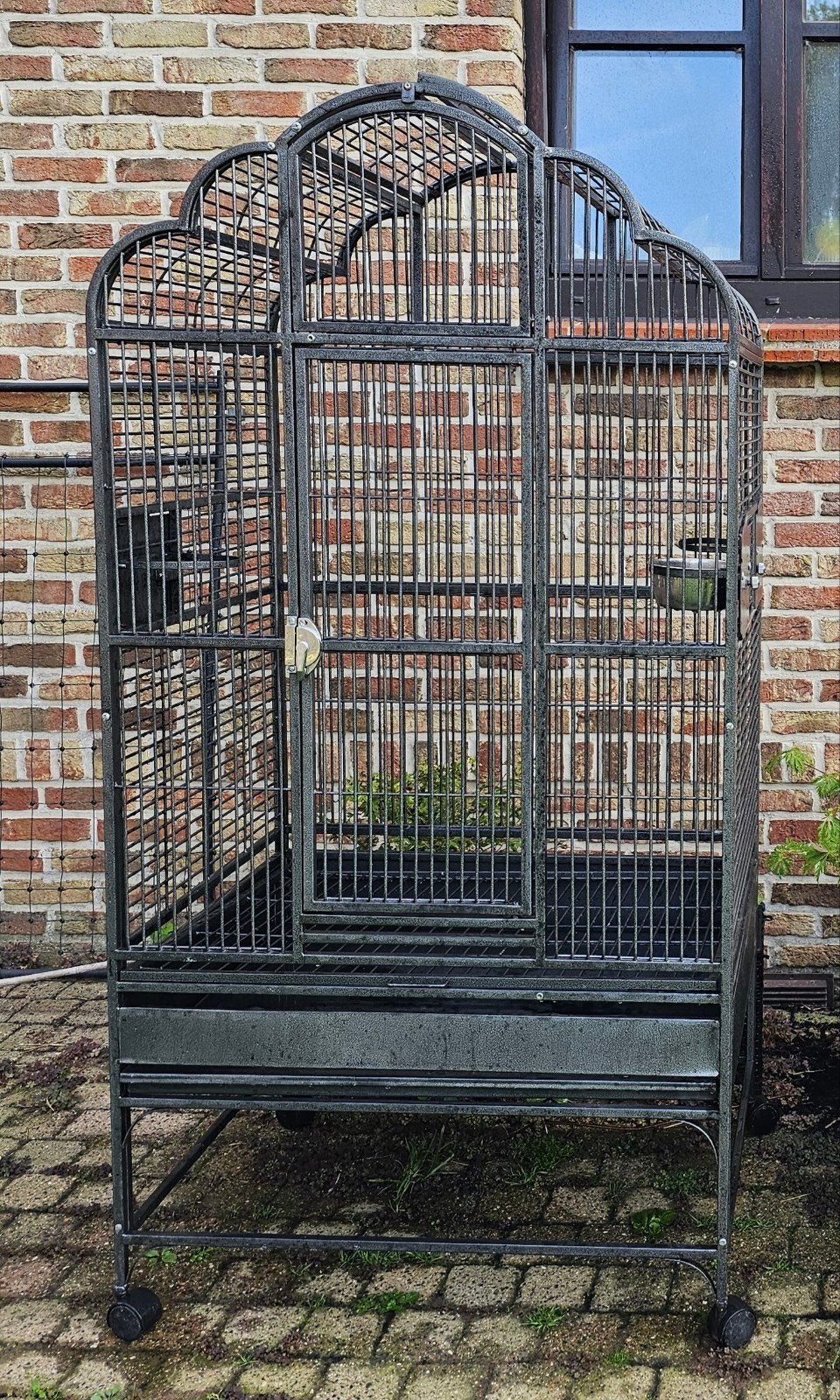 papagaaienkooi., Dieren en Toebehoren, Ophalen, Gebruikt, Metaal, Vogelkooi