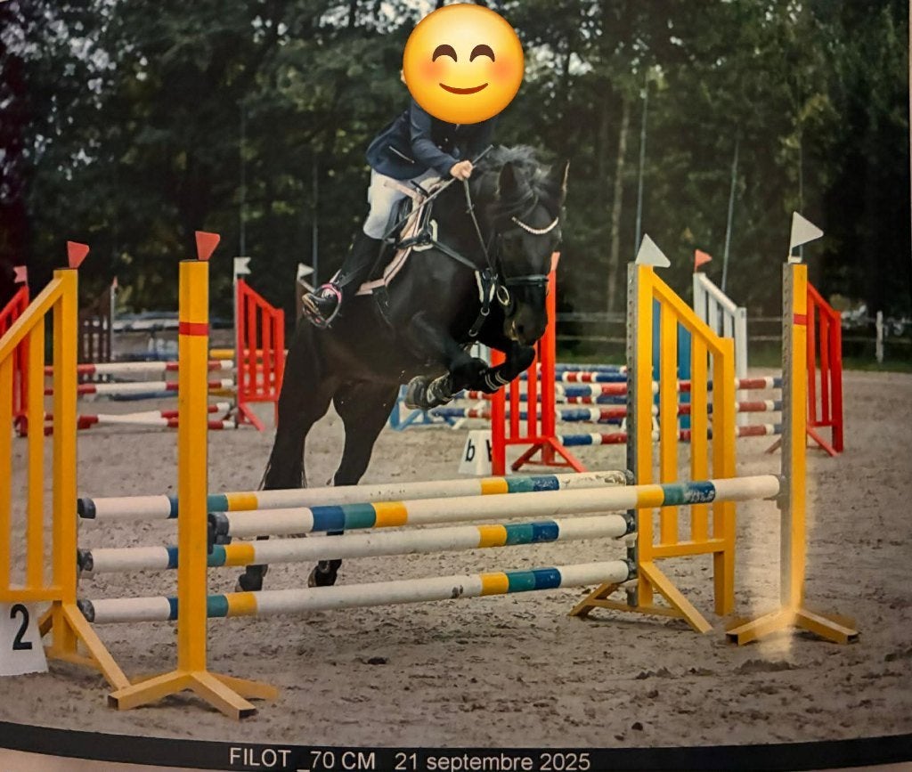 Makkelijke 6-jarige merrie 1m47, Dieren en Toebehoren, Pony's, Merrie, D pony (1.37m tot 1.48m), Springpony, 3 tot 6 jaar, Gechipt