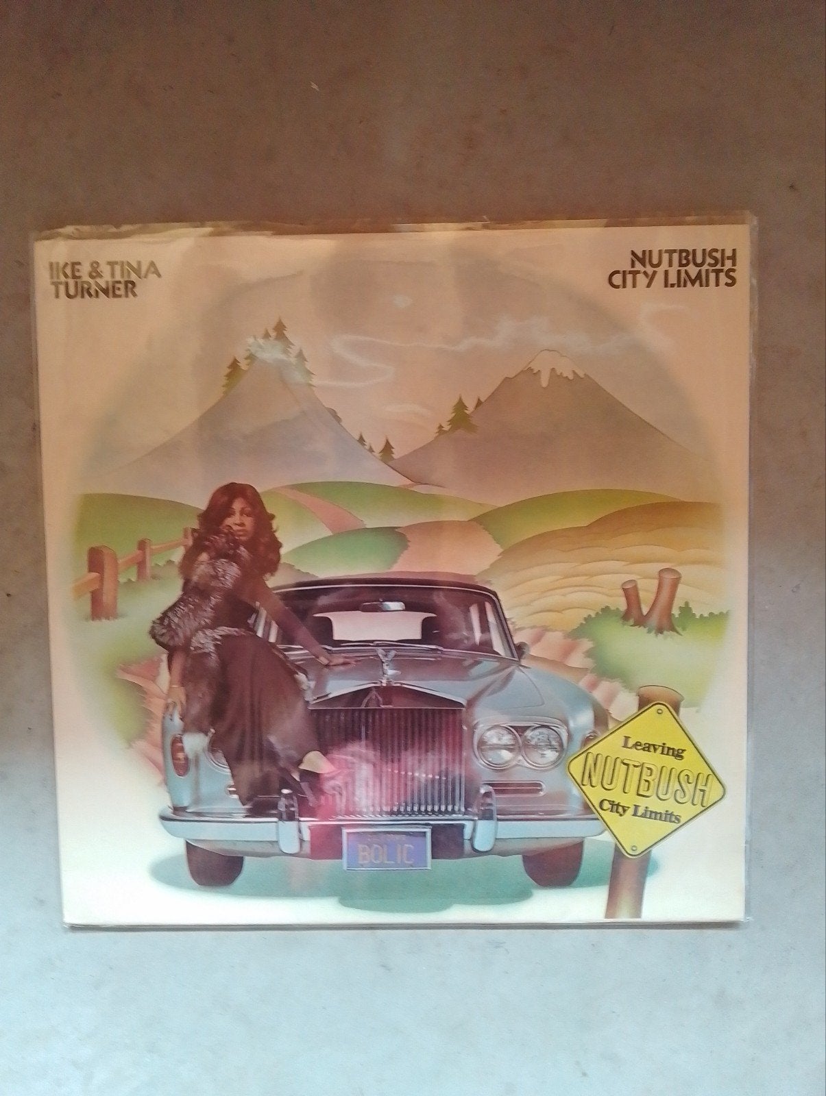Ike & Tina Turner - Nutbush city limits, Ophalen of Verzenden