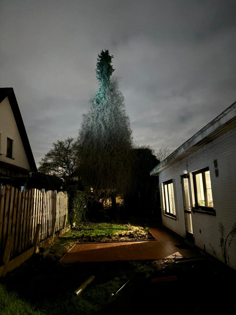 Boom + stronken te verwijderen, Ophalen