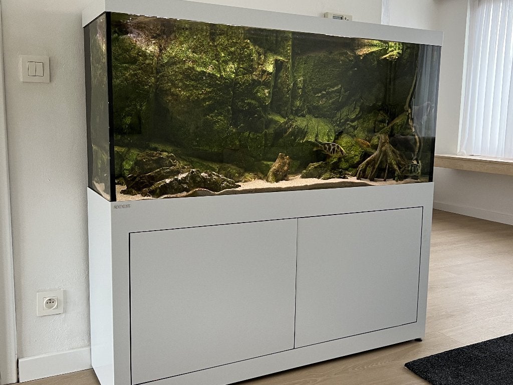 Moderne aquarium, Dieren en Toebehoren, Ophalen, Inclusief slangen, Oase