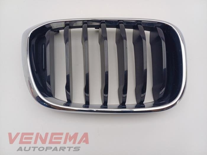 Grille van een BMW X3 (NVT), Gebruikt, -, -, Ophalen of Verzenden