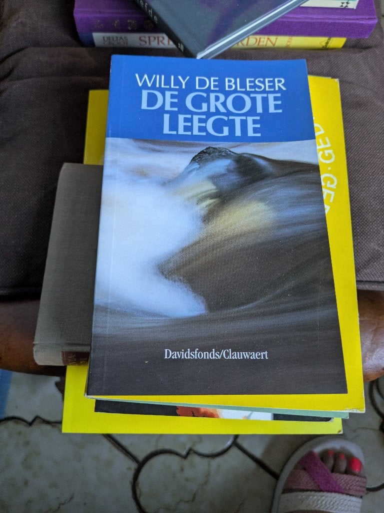 De grote leegte, Ophalen of Verzenden, Zo goed als nieuw, Willy de bleser