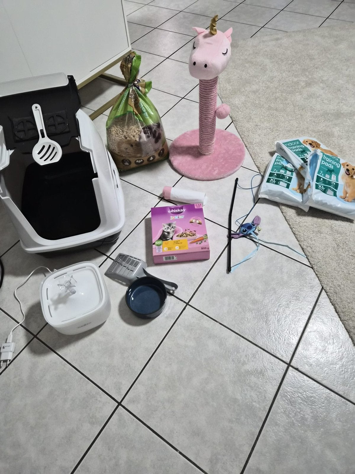 Kit complet pour chat, utilisé 1 jour, Enlèvement ou Envoi, Neuf