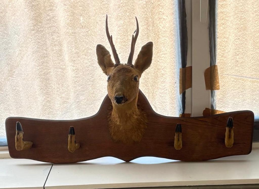 Herten kapstok, Ophalen, Zo goed als nieuw, Hout, Wandkapstok