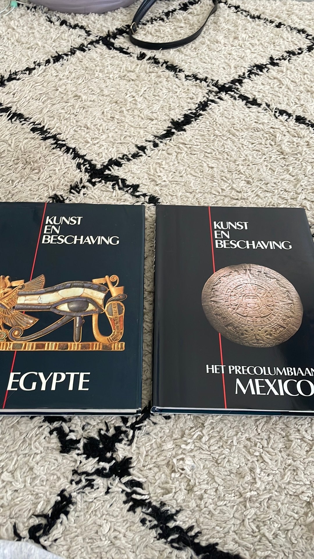 Kunst en beschaving artis historia, Boeken, Ophalen of Verzenden, Zo goed als nieuw, Overige onderwerpen