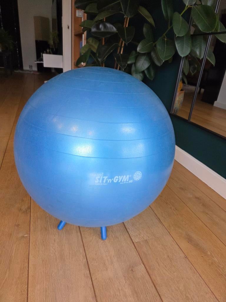 Gymnic Sit n Gym zitbal 65 cm Blauw met voetjes, Ophalen