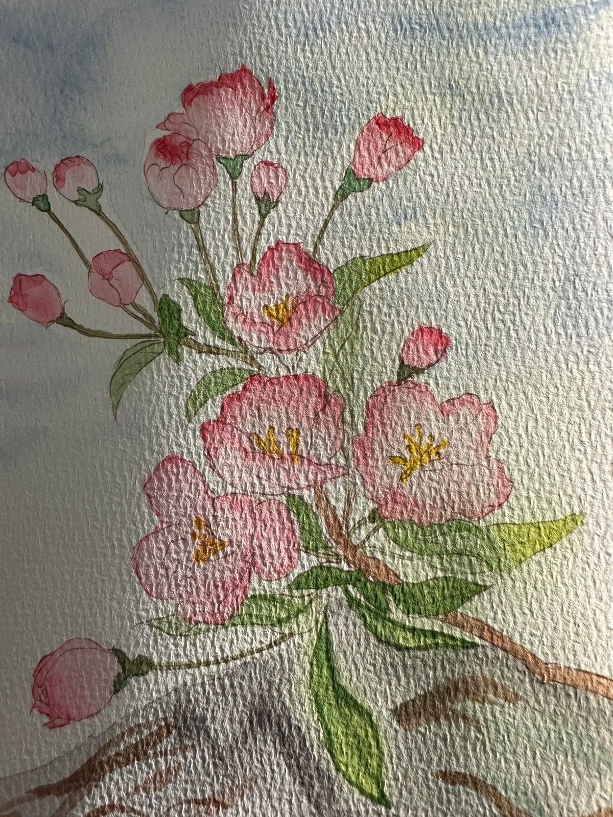 Peintures à l'aquarelle, Enlèvement