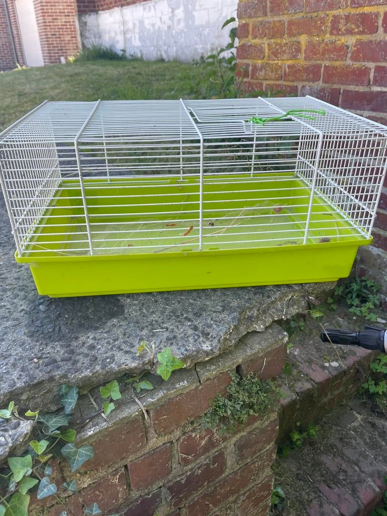 Cage transport, Enlèvement ou Envoi, Comme neuf, Cage