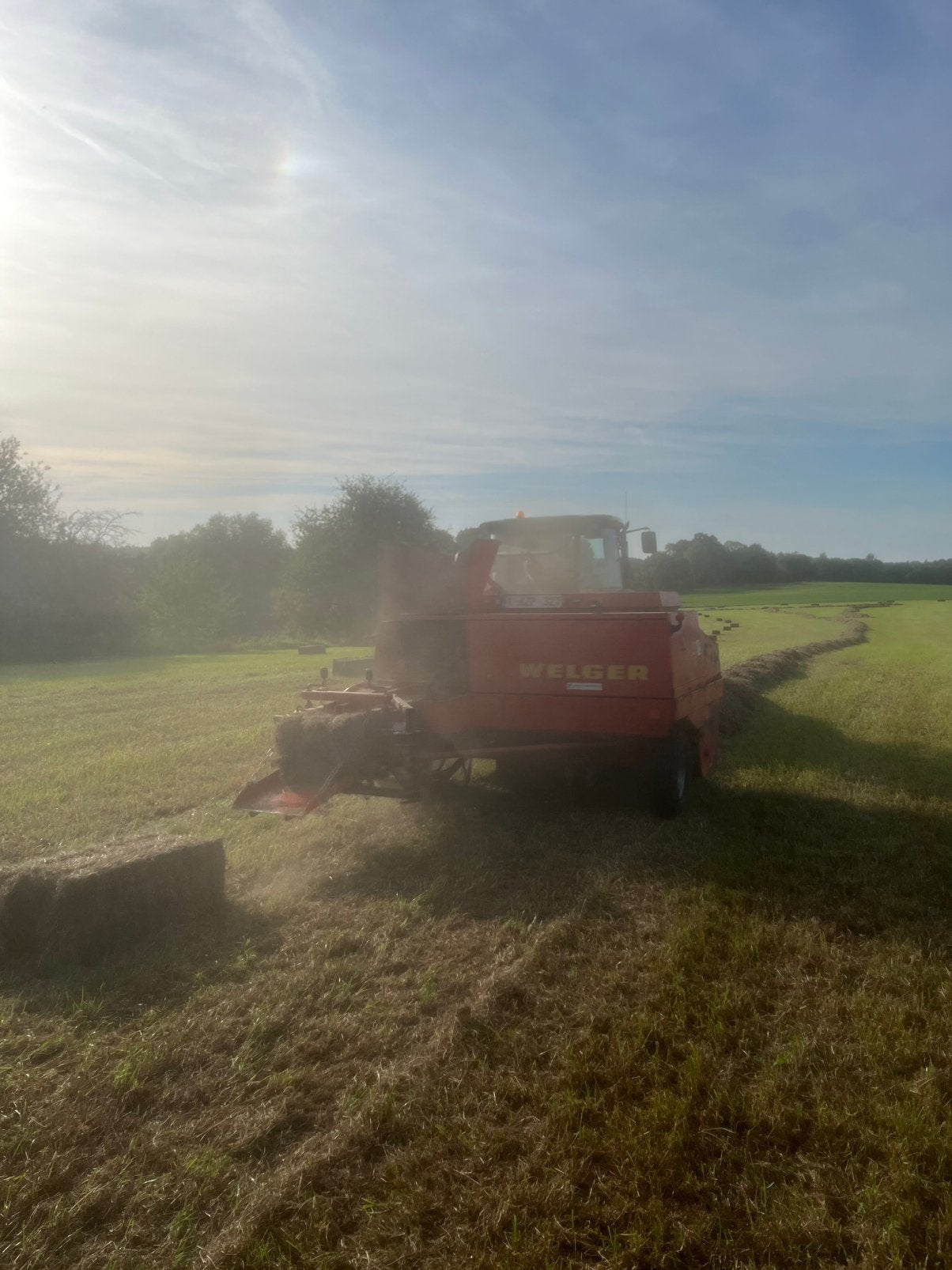 Mini balen gewikkeld hooi, Dieren en Toebehoren, Ophalen