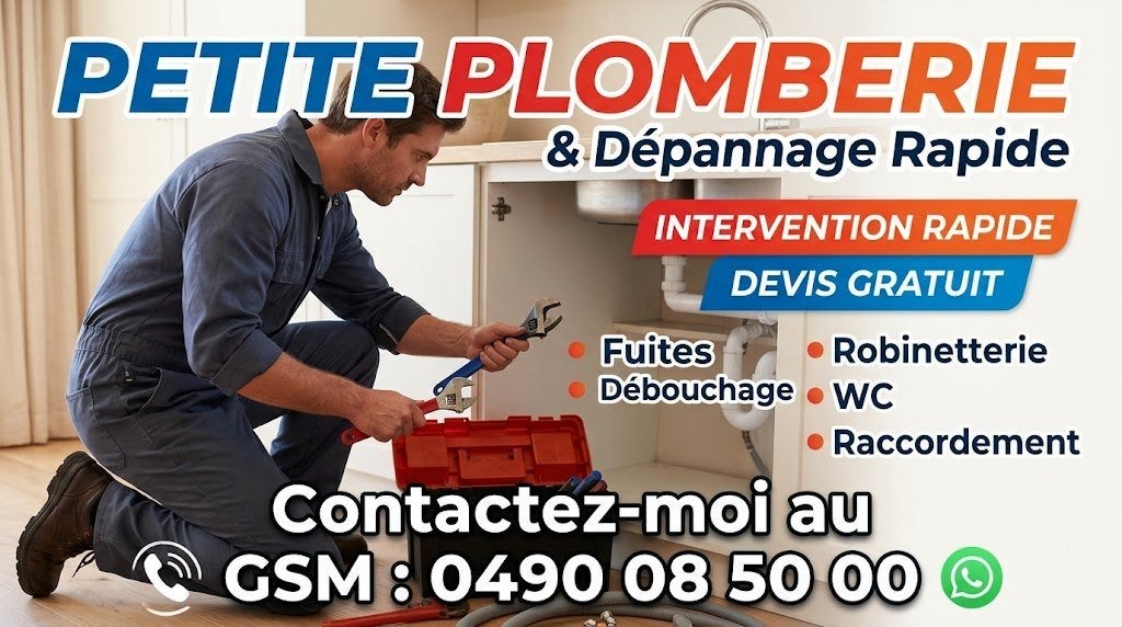 Petits Travaux de Plomberie & Dépannage Rapide, Bricolage & Construction, Enlèvement ou Envoi, Comme neuf, Autres types