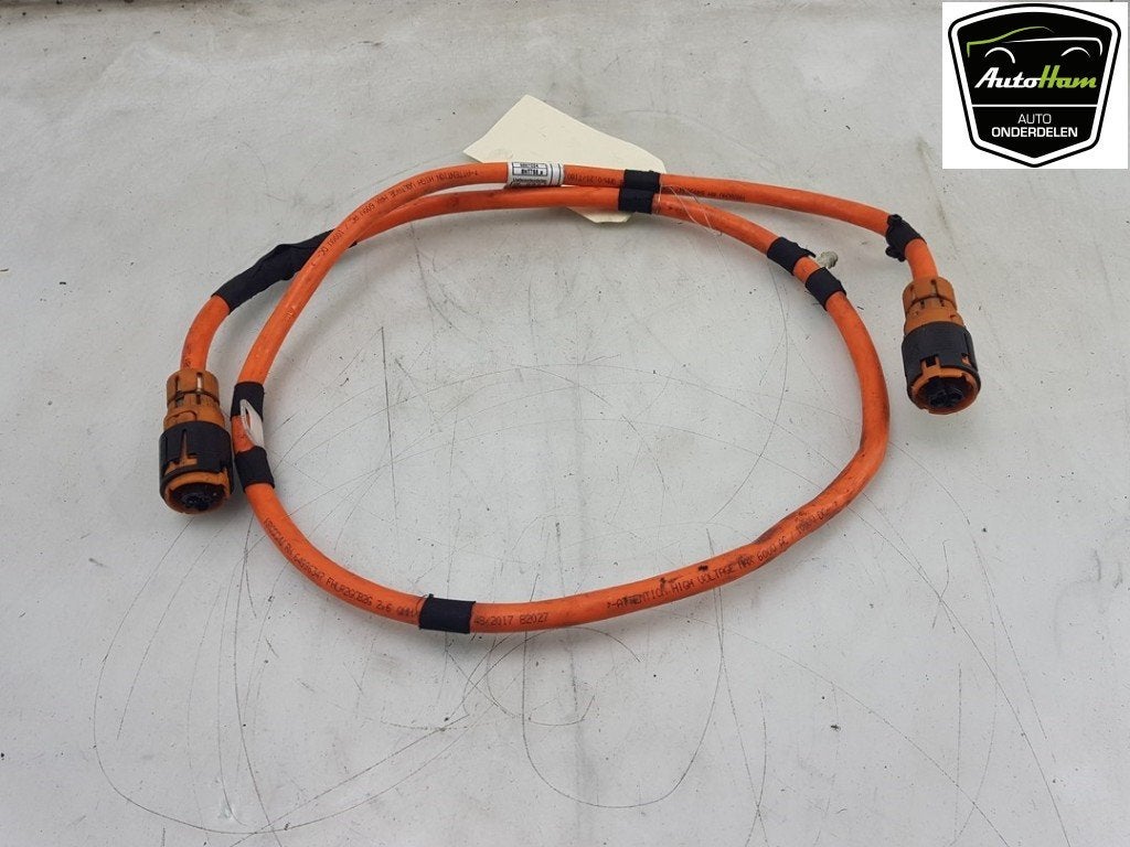 CÂBLE HT (HAUTE TENSION) BMW X5 (F15) (01-2013/07-2018), Utilisé, BMW, Petuelring 130
80809  München, DE, Bayerische Motoren Werke AG