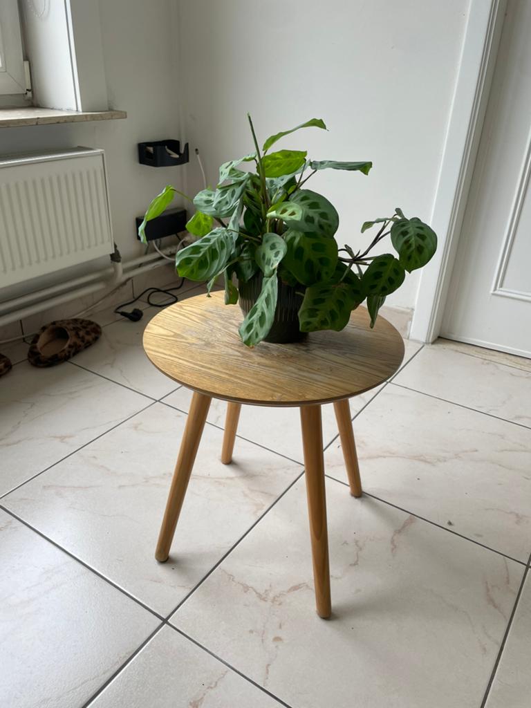 decoratief tafeltje, Ophalen, Gebruikt, Rond, Minder dan 50 cm