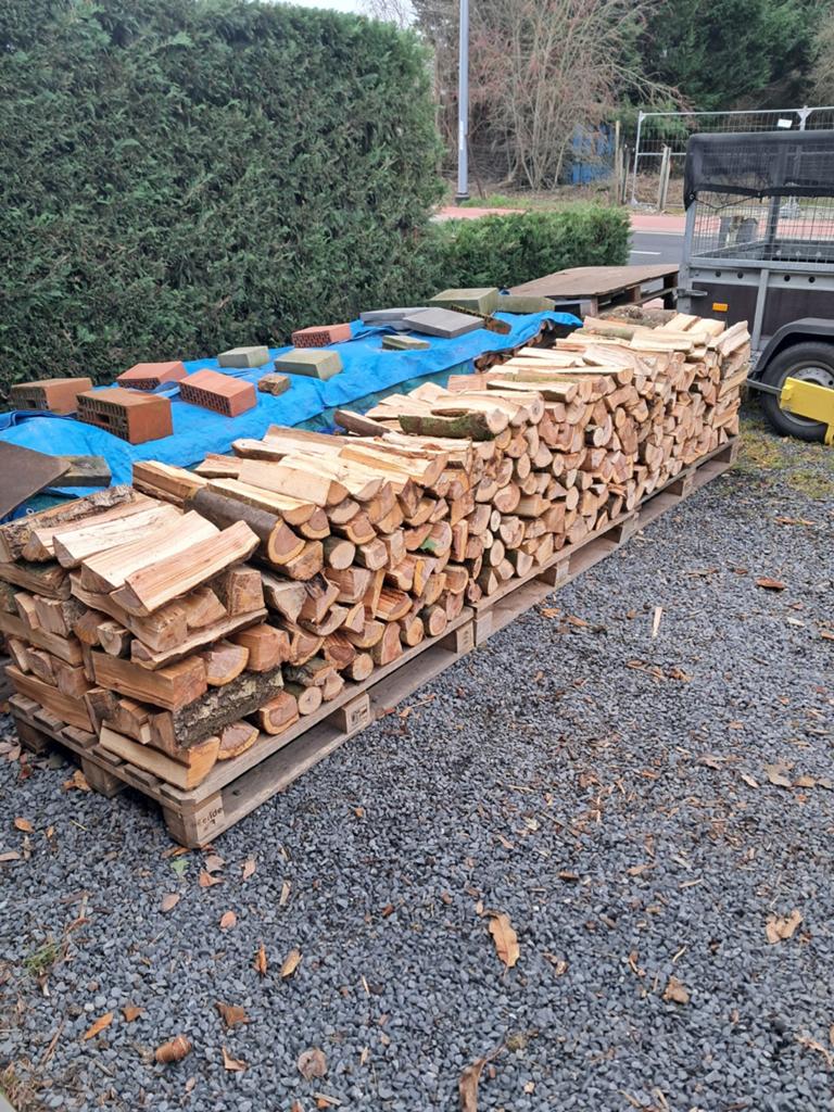 Brandhout Es, Berk en Wilg, Tuin en Terras, Brandhout, Ophalen