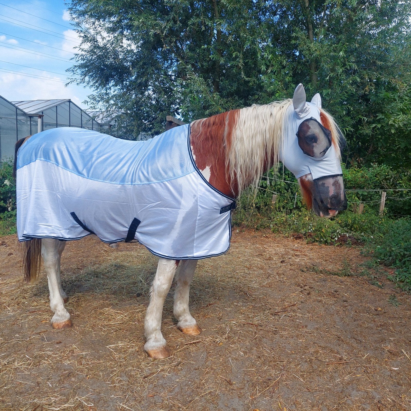 Paardenoppas aangeboden